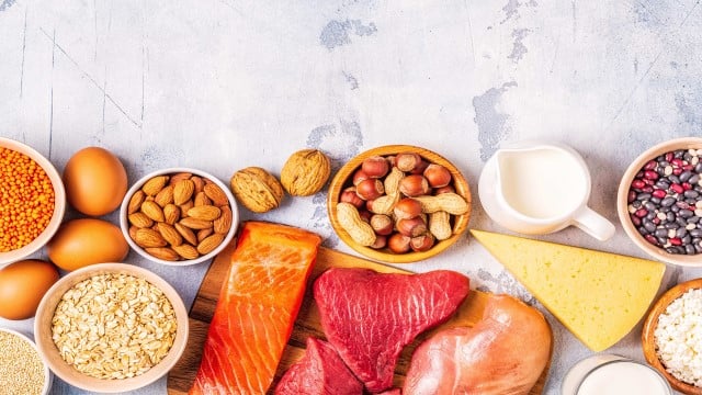 fish meat nuts dairy protein