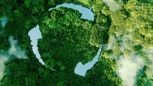 forest whitepaper 640x360