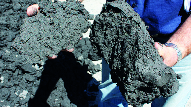 spadeable cake 640x360