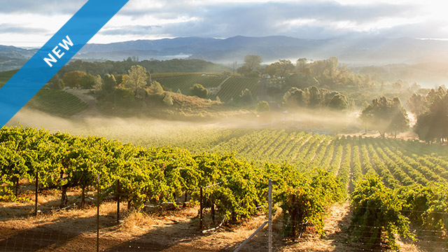 centrifuge for wineries