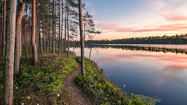 sustainable separation vignette