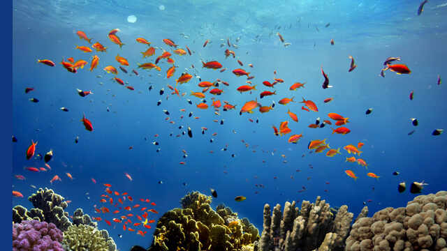 Water_clean image_640x360 copy.jpg